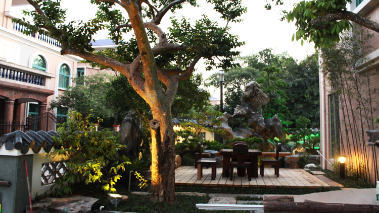 ��ʽ�L(f��ng)��e��ͥԺ�O(sh��)Ӌ