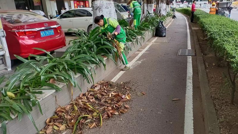 商場立體綠化設(shè)計施工公司哪家好