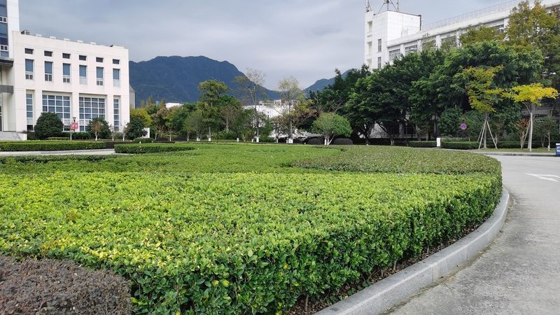 南方市政草坪草種如何選擇？關(guān)鍵因素解析