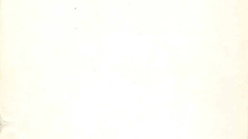 草坪鋪設(shè)季節(jié)選擇方法解析